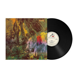 Thought Form Descent (Black Vinyl LP)