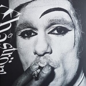 Dom Som Skiner (Black Vinyl LP)