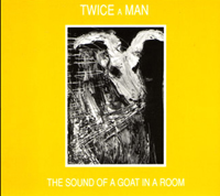 Sound of a Goat in a Room
