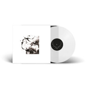 Airut: Aamujen (Clear Vinyl LP)