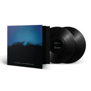 New Wilderness Gospel (2 LP Black Vinyl)
