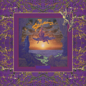 Psonic Psunspot (Vinyl LP)