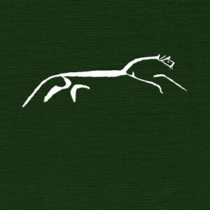 English Settlement (Vinyl 2 LP)