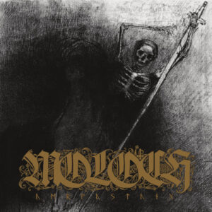 Verwustung (Vinyl LP)