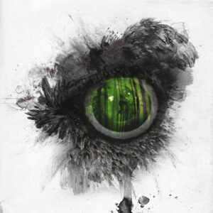 Emeral Forest And The Blackbird (Re-issue)