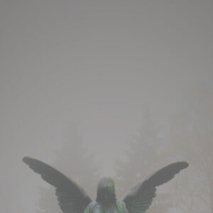 Pity/Piety (White w. Splatter Vinyl LP)