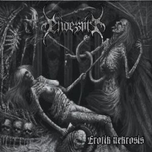Erotik Nekrosis
