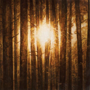 Echoes (3LP Boxset Splatter)