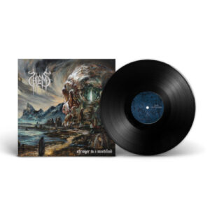 Stranger in a Wasteland (Vinyl LP)