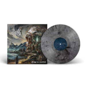 Stranger in a Wasteland (Grey Marbled Vinyl LP)