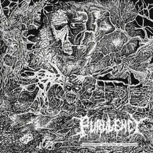 Transcendent Unveiling of Dimensions (Vinyl LP)