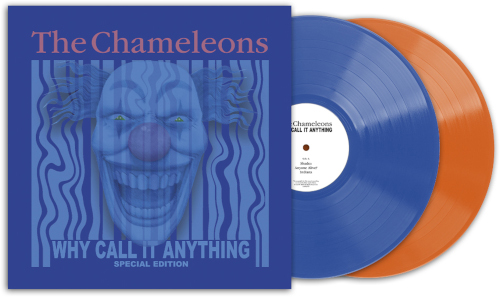 Why Call it Anything (2 LP Blue/Orange Vinyl)