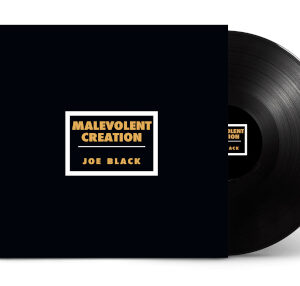 Joe Black (Vinyl LP)