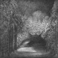 Blant Svarte Graner (red)