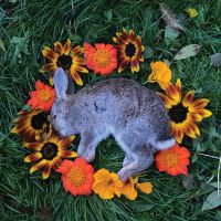 Your Time To Shine (milky Clear)