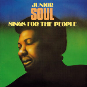 Sing For The People (Vinyl LP)