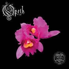 Orchid (RSD 2020)