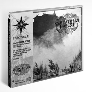 Through Chasm Caves And Titan Woods