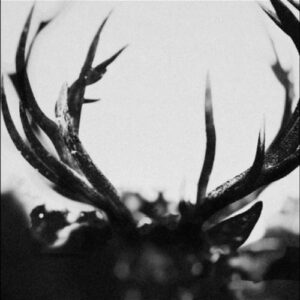 Ihsahn (Hardback Digibook)