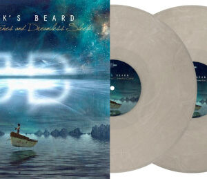 Brief Nocturnes and Dreamless Sleep (2 LP Vinyl)