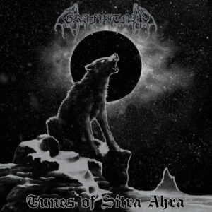 Tunes Of Sitra Ahra (Vinyl LP)