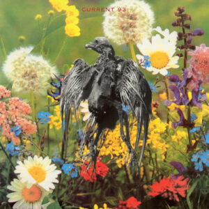 Swastikas For Noddy (Picture Disc Vinyl)