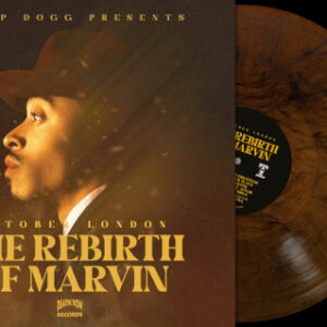 Rebirth Of Marvin The (Brown Marbled Vinyl LP)