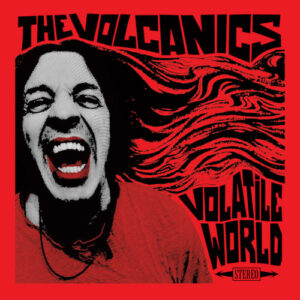 Volatile World (Vinyl LP)