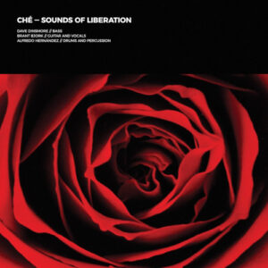Sounds Of Liberation (Vinyl LP)