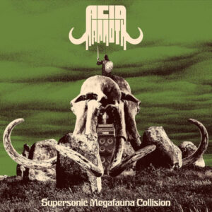 Supersonic Megafauna Collision (Vinyl LP)