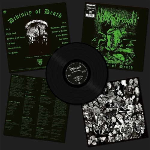 Divinity of Death (Vinyl LP)