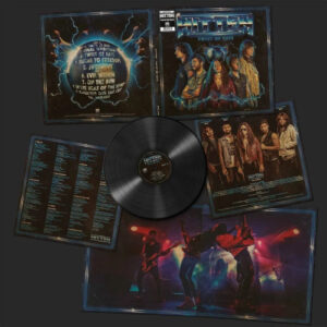 Twist of Fate (Vinyl LP)