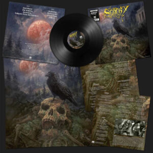 Sentry (Vinyl LP)