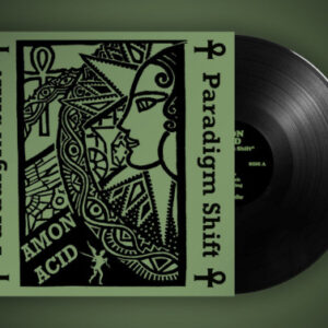 Paradigm Shift (Vinyl LP)