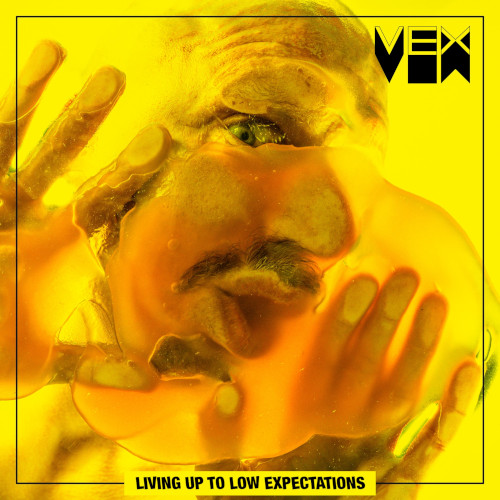 Living Up To Low Expectations (Yellow Vinyl LP)