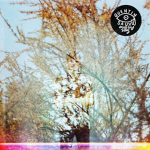 Enjoy the View (Vinyl LP)