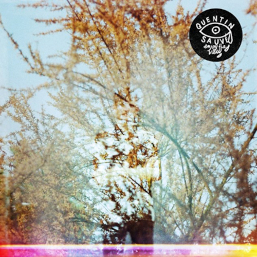 Enjoy the View (Vinyl LP)