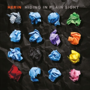 Hiding in Plain Sight (2 LP Black Vinyl)