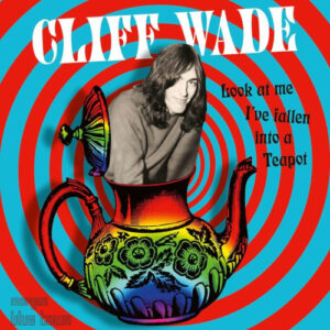 Look At Me I've Just Fallen Into A Teapot