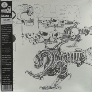 Orion Awakes (Vinyl LP)