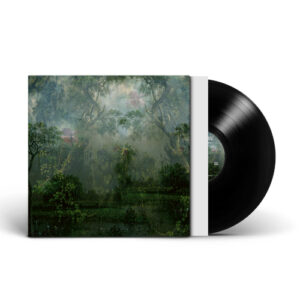 Coloured Breeze Is A New Dimension The (Vinyl LP)