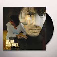 Undiscovered Soul (Vinyl 2 LP)