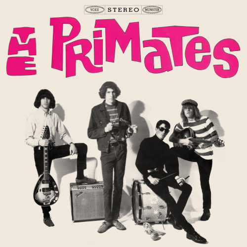 We Are The Primates (Vinyl LP)