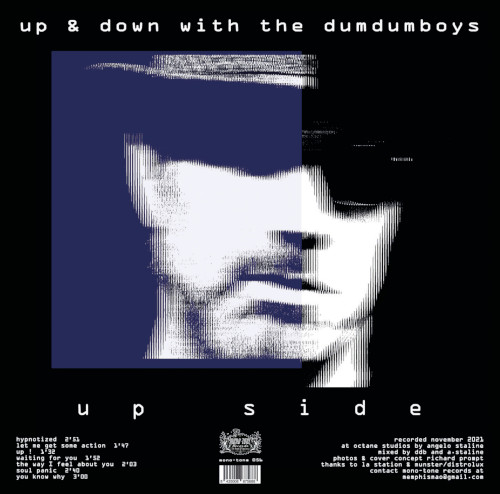 Up & Down With The Dum Dum Boys (Vinyl LP)