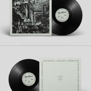 Where The Void Rose (Black Vinyl LP)