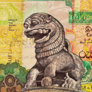 Burden Of Hope The (Vinyl LP)