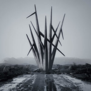 Teeth To Sky (Vinyl LP)