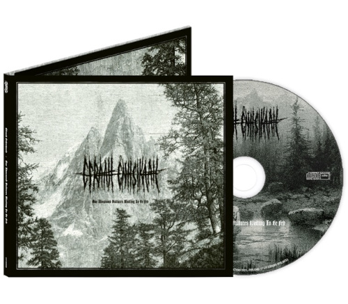 One Thousand Vultures Waiting to Be Fed