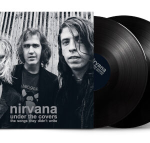 Under the Covers (2 LP Vinyl)