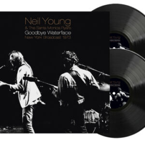 Goodbye Waterface (2 LP Vinyl)